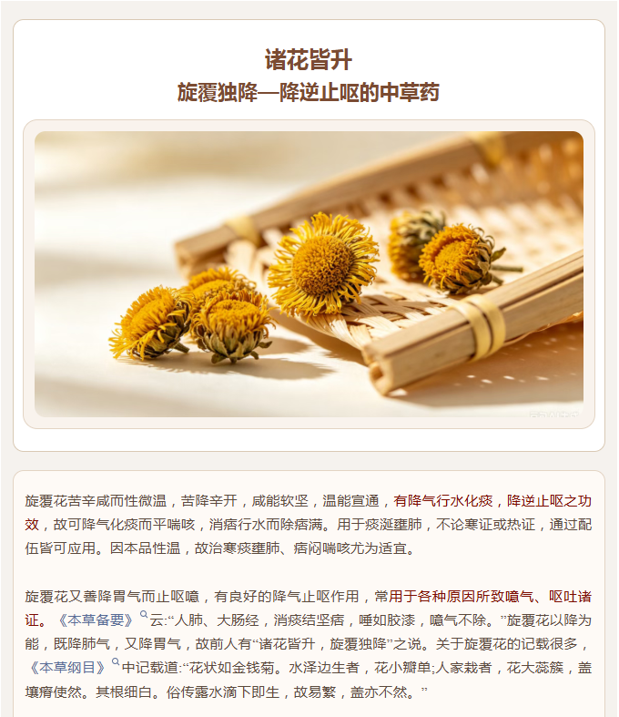 诸花皆升，旋覆独降—降逆止呕的中草药